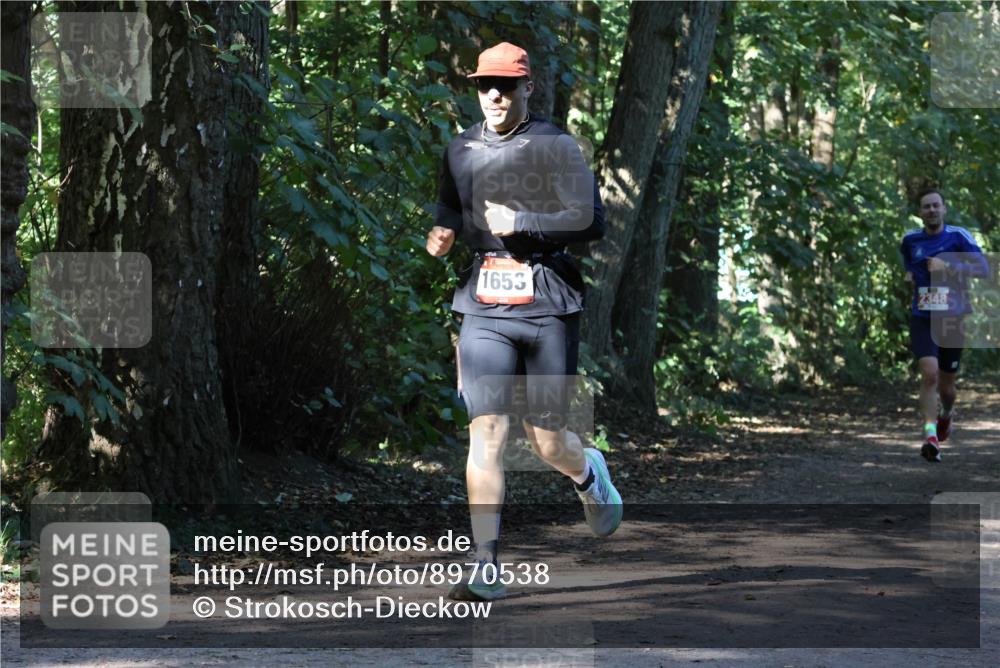 28.09.2025 - 33. Volkslauf durch das schöne Alstertal Strokosch-Dieckow http://msf.ph/oto/8970538 28.09.2025 11:54:11 Laufen 1653, 2348 meine-sportfotos.de