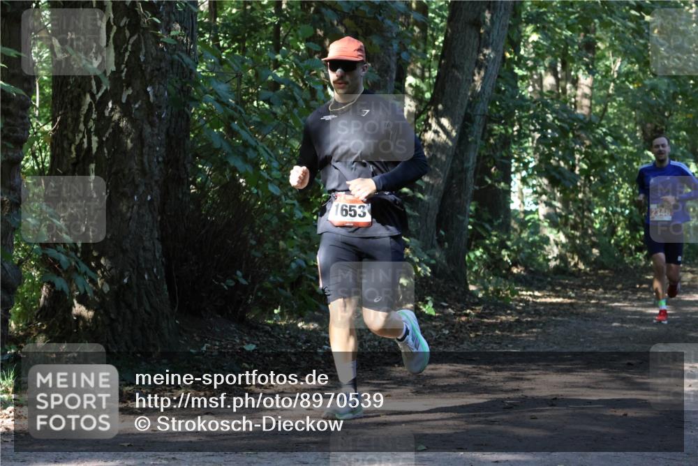 28.09.2025 - 33. Volkslauf durch das schöne Alstertal Strokosch-Dieckow http://msf.ph/oto/8970539 28.09.2025 11:54:11 Laufen 1653 meine-sportfotos.de