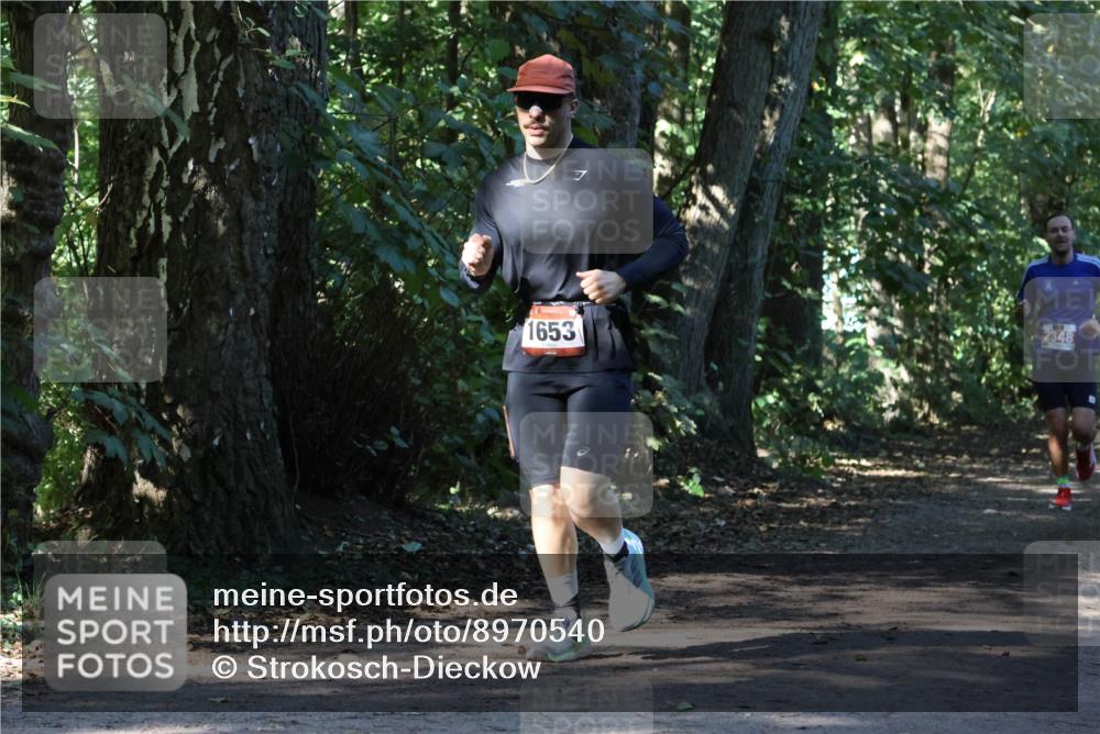 28.09.2025 - 33. Volkslauf durch das schöne Alstertal Strokosch-Dieckow http://msf.ph/oto/8970540 28.09.2025 11:54:11 Laufen 1653, 2348 meine-sportfotos.de