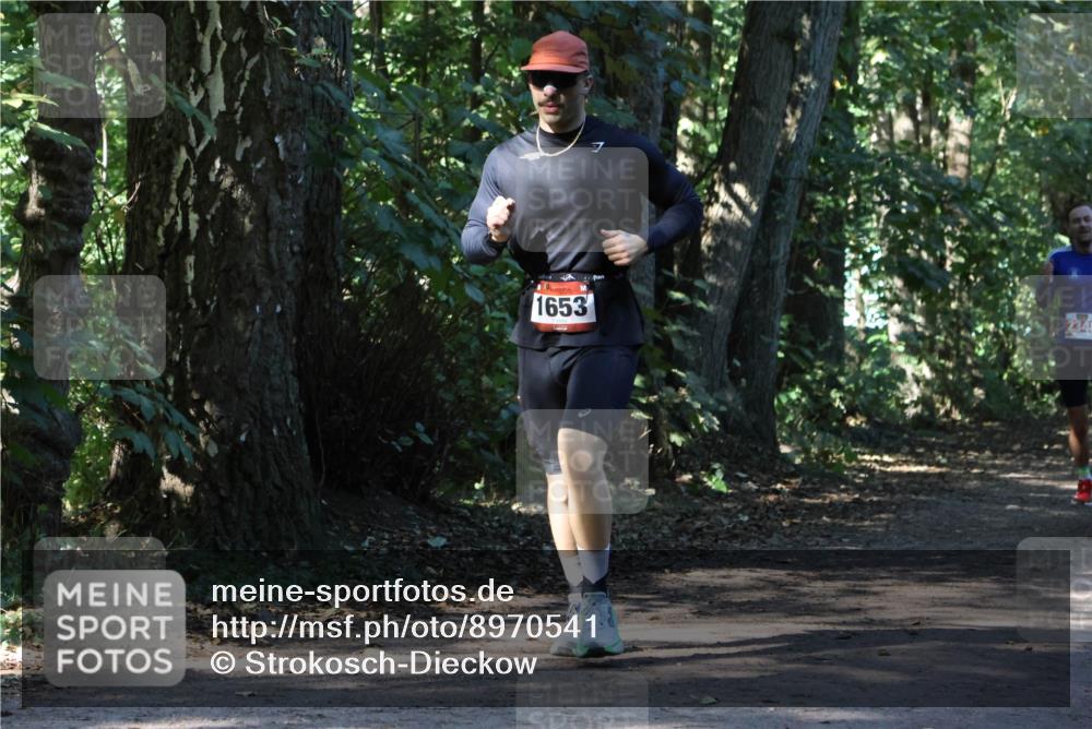 28.09.2025 - 33. Volkslauf durch das schöne Alstertal Strokosch-Dieckow http://msf.ph/oto/8970541 28.09.2025 11:54:11 Laufen 1653, 7, 234 meine-sportfotos.de