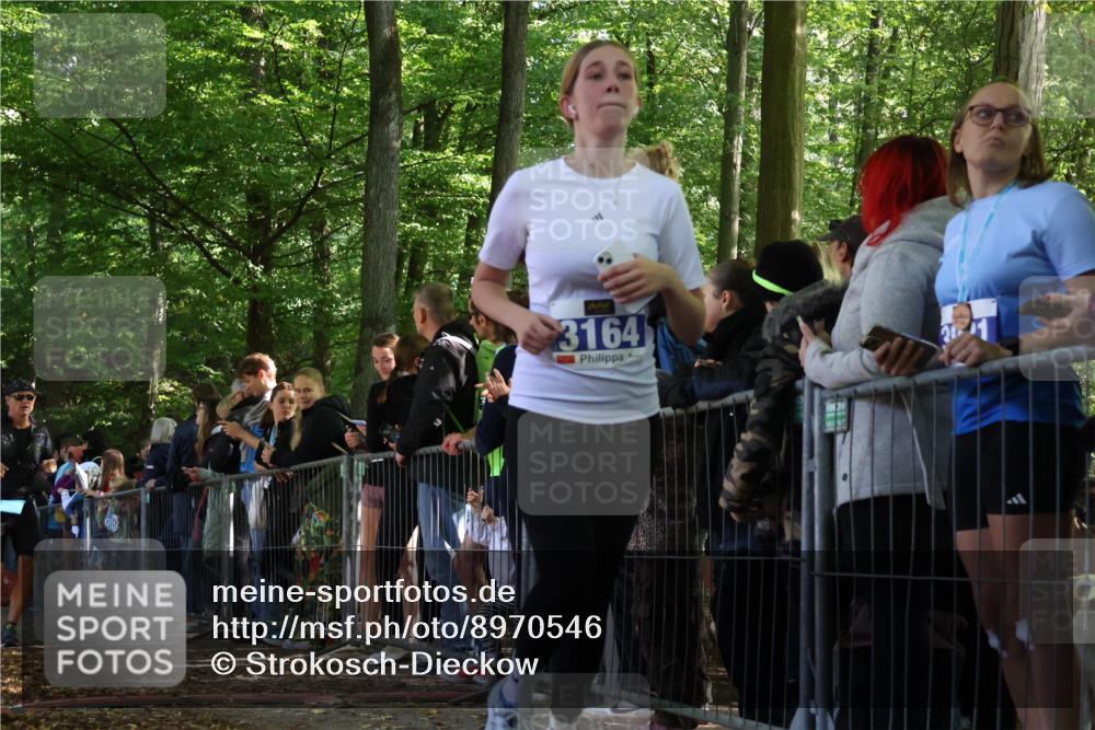 28.09.2025 - 33. Volkslauf durch das schöne Alstertal Strokosch-Dieckow http://msf.ph/oto/8970546 28.09.2025 11:51:51 Ziel 1602, 2651, 3137, 3164, 3165 meine-sportfotos.de