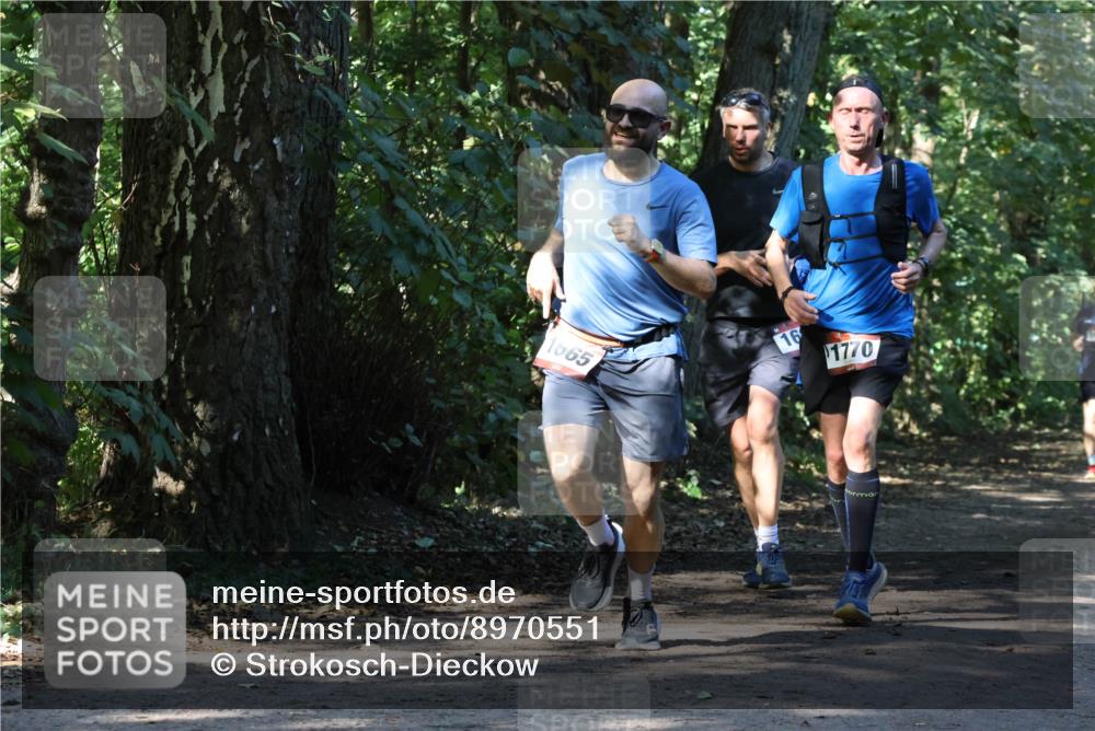 28.09.2025 - 33. Volkslauf durch das schöne Alstertal Strokosch-Dieckow http://msf.ph/oto/8970551 28.09.2025 11:54:21 Laufen 1665, 16, 1770 meine-sportfotos.de