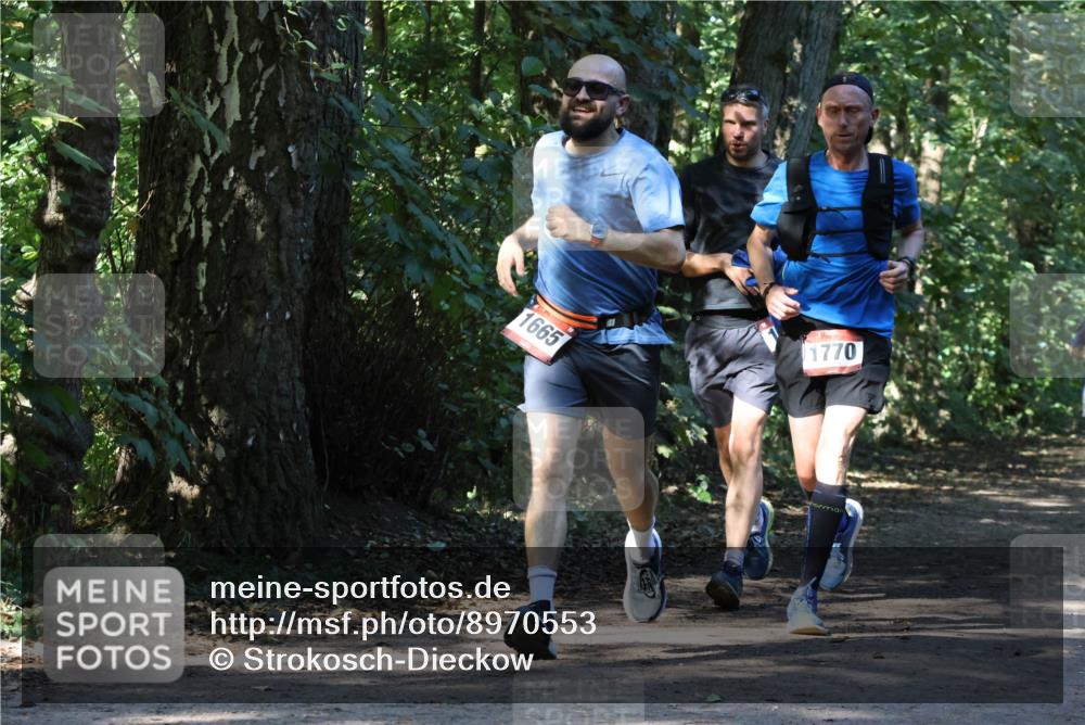 28.09.2025 - 33. Volkslauf durch das schöne Alstertal Strokosch-Dieckow http://msf.ph/oto/8970553 28.09.2025 11:54:21 Laufen 1665, 1770 meine-sportfotos.de
