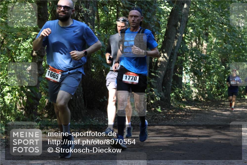28.09.2025 - 33. Volkslauf durch das schöne Alstertal Strokosch-Dieckow http://msf.ph/oto/8970554 28.09.2025 11:54:22 Laufen 1665, 1770, 1618 meine-sportfotos.de