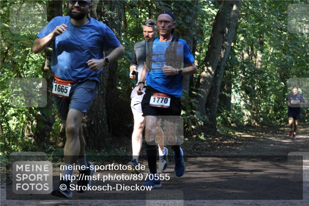 28.09.2025 - 33. Volkslauf durch das schöne Alstertal Strokosch-Dieckow http://msf.ph/oto/8970555 28.09.2025 11:54:22 Laufen 1770, 1665, 1618 meine-sportfotos.de
