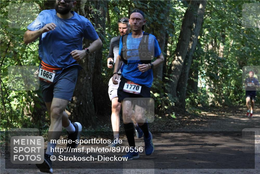 28.09.2025 - 33. Volkslauf durch das schöne Alstertal Strokosch-Dieckow http://msf.ph/oto/8970556 28.09.2025 11:54:22 Laufen 1665, 1770 meine-sportfotos.de