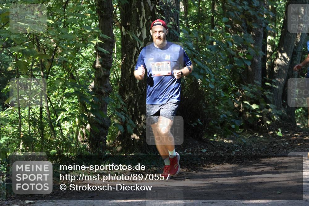 28.09.2025 - 33. Volkslauf durch das schöne Alstertal Strokosch-Dieckow http://msf.ph/oto/8970557 28.09.2025 11:54:30 Laufen 9, 1618 meine-sportfotos.de