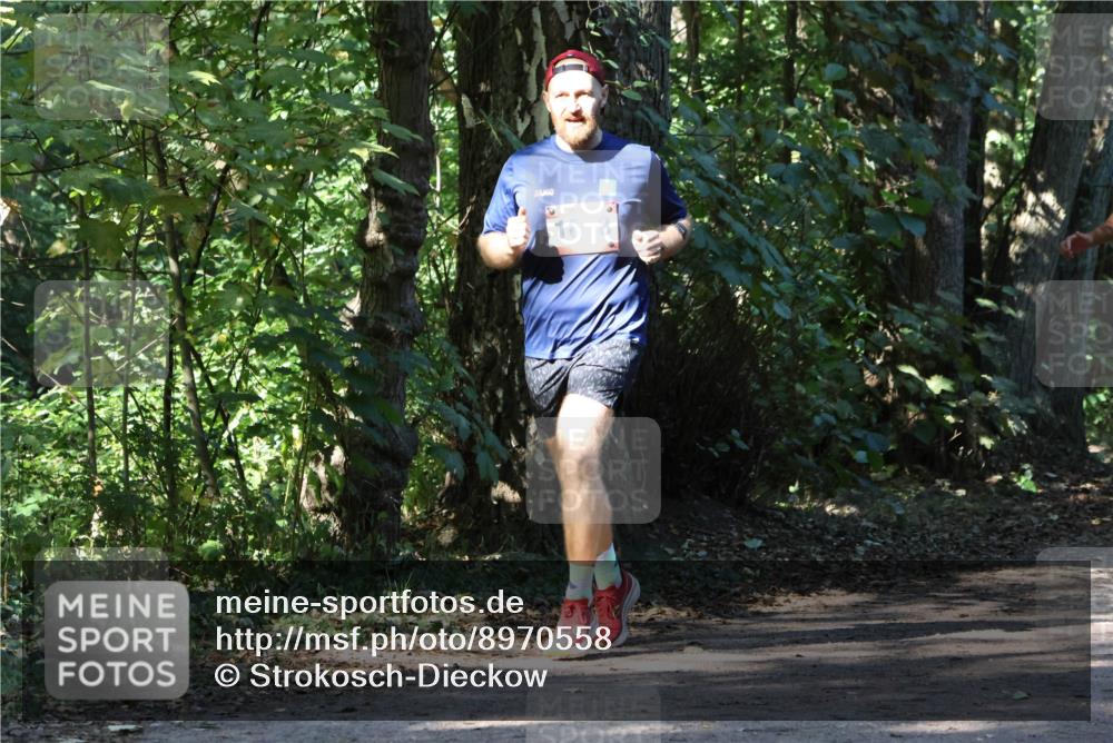 28.09.2025 - 33. Volkslauf durch das schöne Alstertal Strokosch-Dieckow http://msf.ph/oto/8970558 28.09.2025 11:54:30 Laufen 16, 8 meine-sportfotos.de