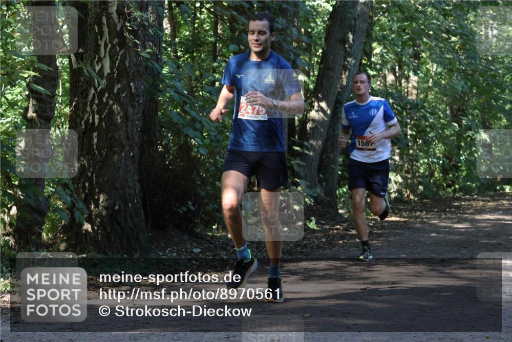 28.09.2025 - 33. Volkslauf durch das schöne Alstertal Strokosch-Dieckow http://msf.ph/oto/8970561 28.09.2025 11:54:31 Laufen 2475, 1587 meine-sportfotos.de