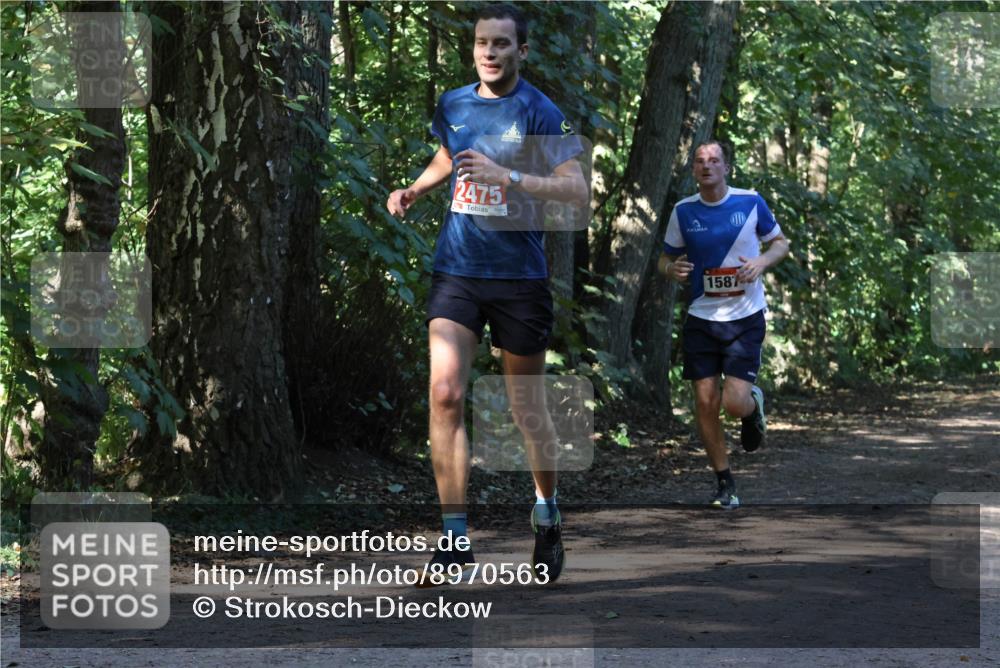28.09.2025 - 33. Volkslauf durch das schöne Alstertal Strokosch-Dieckow http://msf.ph/oto/8970563 28.09.2025 11:54:32 Laufen 2475, 1587 meine-sportfotos.de