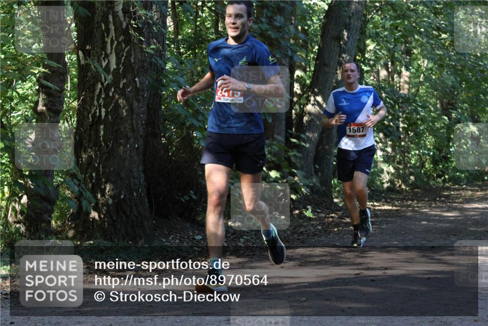28.09.2025 - 33. Volkslauf durch das schöne Alstertal Strokosch-Dieckow http://msf.ph/oto/8970564 28.09.2025 11:54:32 Laufen 1587 meine-sportfotos.de