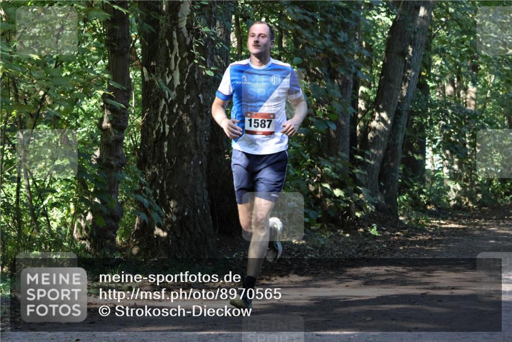 28.09.2025 - 33. Volkslauf durch das schöne Alstertal Strokosch-Dieckow http://msf.ph/oto/8970565 28.09.2025 11:54:33 Laufen 1587 meine-sportfotos.de