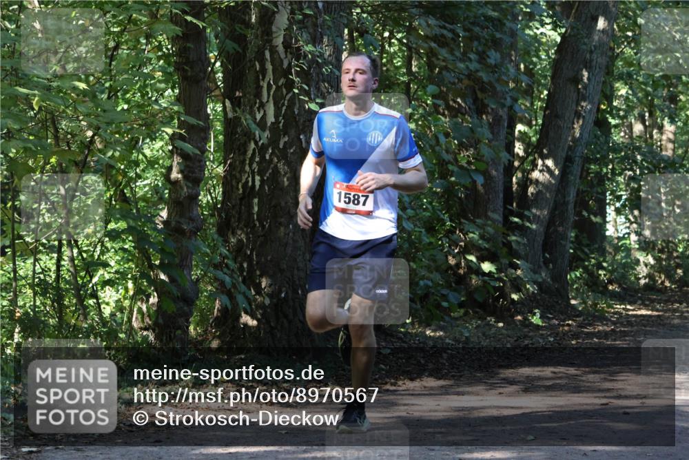 28.09.2025 - 33. Volkslauf durch das schöne Alstertal Strokosch-Dieckow http://msf.ph/oto/8970567 28.09.2025 11:54:34 Laufen 1587 meine-sportfotos.de