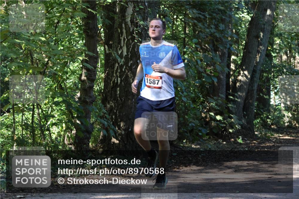 28.09.2025 - 33. Volkslauf durch das schöne Alstertal Strokosch-Dieckow http://msf.ph/oto/8970568 28.09.2025 11:54:34 Laufen 1587 meine-sportfotos.de
