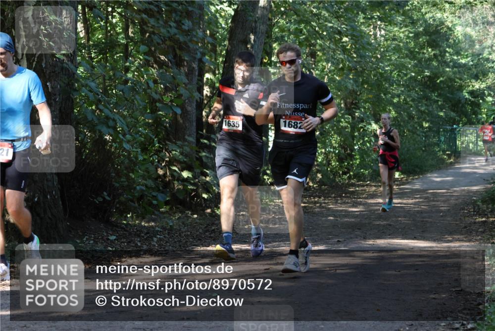28.09.2025 - 33. Volkslauf durch das schöne Alstertal Strokosch-Dieckow http://msf.ph/oto/8970572 28.09.2025 11:54:50 Laufen 21, 1635, 1682 meine-sportfotos.de