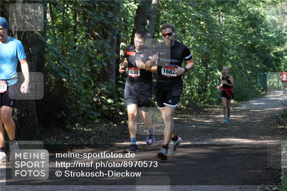 28.09.2025 - 33. Volkslauf durch das schöne Alstertal Strokosch-Dieckow http://msf.ph/oto/8970573 28.09.2025 11:54:50 Laufen 21, 1635, 1682 meine-sportfotos.de