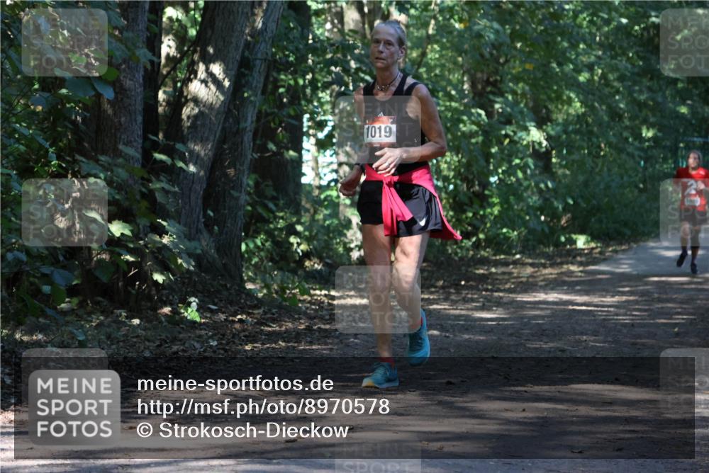 28.09.2025 - 33. Volkslauf durch das schöne Alstertal Strokosch-Dieckow http://msf.ph/oto/8970578 28.09.2025 11:54:55 Laufen 1019 meine-sportfotos.de