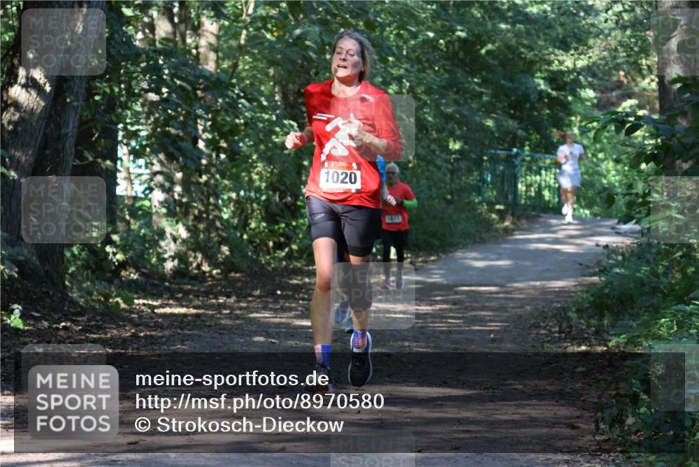 28.09.2025 - 33. Volkslauf durch das schöne Alstertal Strokosch-Dieckow http://msf.ph/oto/8970580 28.09.2025 11:55:05 Laufen 1020 meine-sportfotos.de