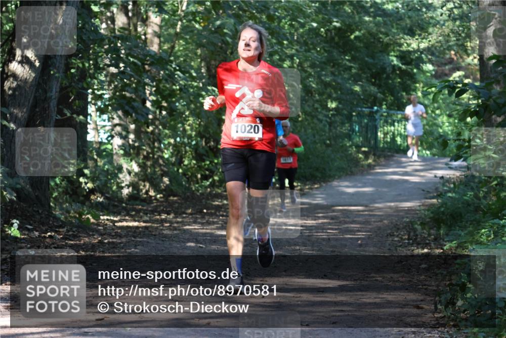 28.09.2025 - 33. Volkslauf durch das schöne Alstertal Strokosch-Dieckow http://msf.ph/oto/8970581 28.09.2025 11:55:05 Laufen 2, 1020 meine-sportfotos.de