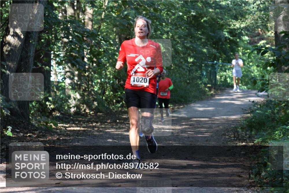 28.09.2025 - 33. Volkslauf durch das schöne Alstertal Strokosch-Dieckow http://msf.ph/oto/8970582 28.09.2025 11:55:05 Laufen 1020 meine-sportfotos.de