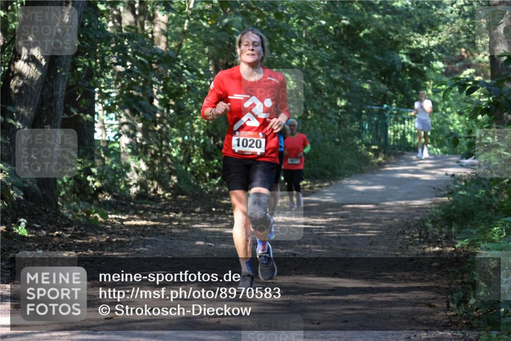 28.09.2025 - 33. Volkslauf durch das schöne Alstertal Strokosch-Dieckow http://msf.ph/oto/8970583 28.09.2025 11:55:06 Laufen 1020, 1611 meine-sportfotos.de