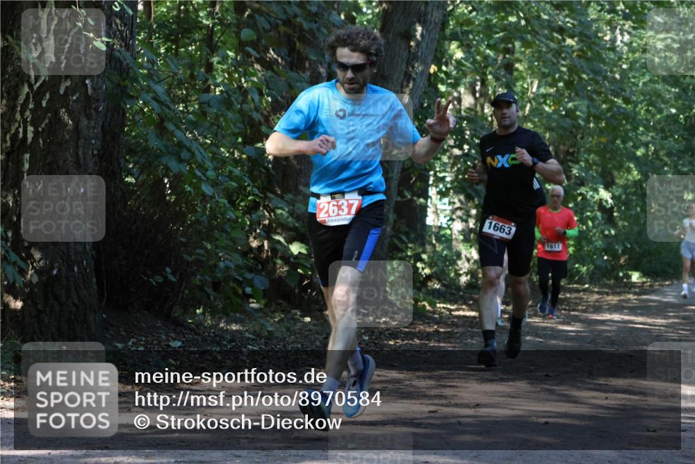 28.09.2025 - 33. Volkslauf durch das schöne Alstertal Strokosch-Dieckow http://msf.ph/oto/8970584 28.09.2025 11:55:10 Laufen 2637, 1663, 1611 meine-sportfotos.de