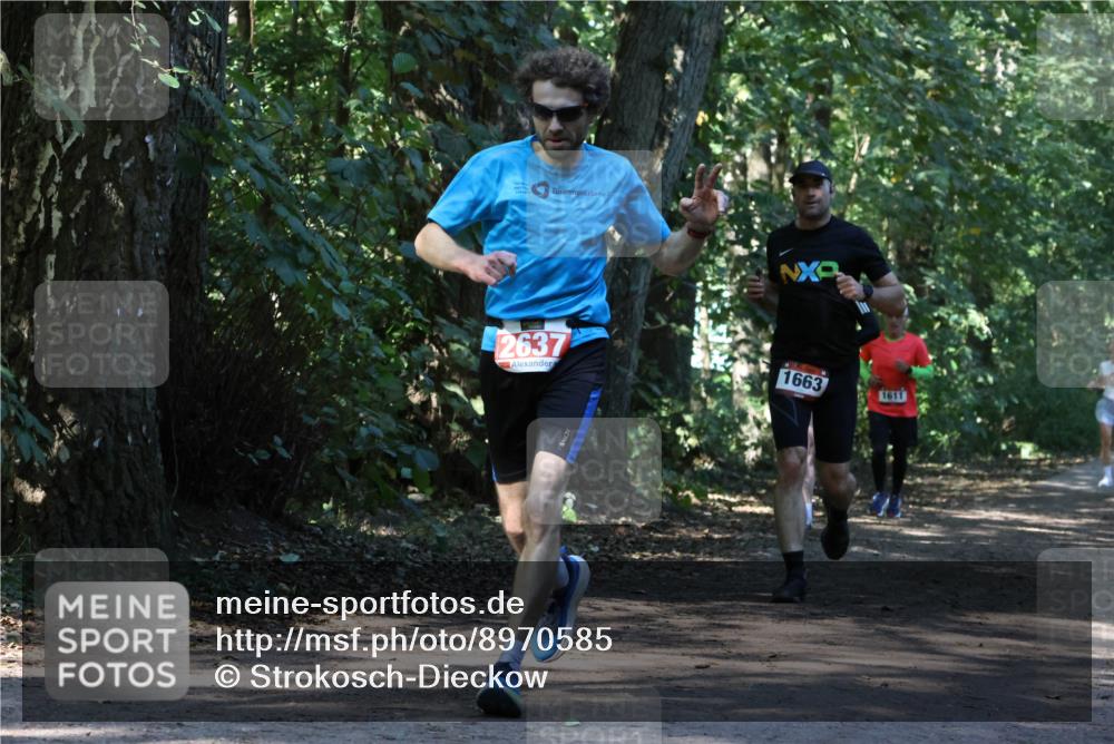 28.09.2025 - 33. Volkslauf durch das schöne Alstertal Strokosch-Dieckow http://msf.ph/oto/8970585 28.09.2025 11:55:10 Laufen 2637, 1663 meine-sportfotos.de