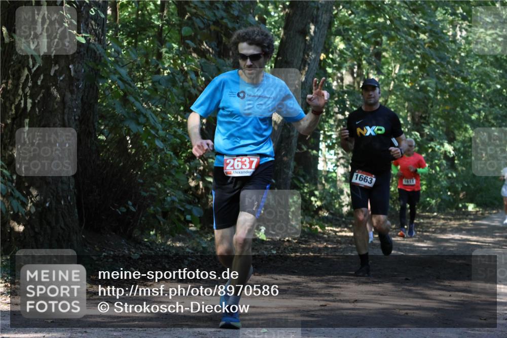 28.09.2025 - 33. Volkslauf durch das schöne Alstertal Strokosch-Dieckow http://msf.ph/oto/8970586 28.09.2025 11:55:11 Laufen 2637, 1663, 1611 meine-sportfotos.de