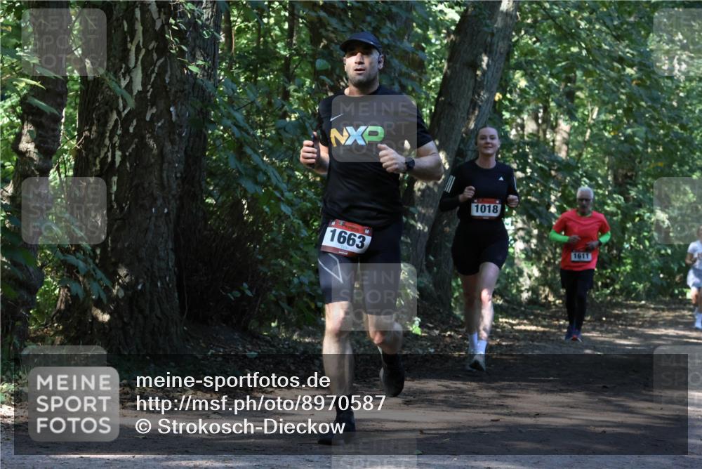 28.09.2025 - 33. Volkslauf durch das schöne Alstertal Strokosch-Dieckow http://msf.ph/oto/8970587 28.09.2025 11:55:13 Laufen 1663, 1018 meine-sportfotos.de