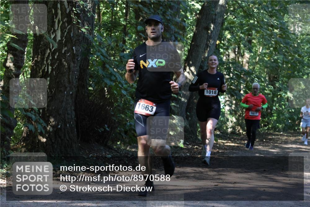28.09.2025 - 33. Volkslauf durch das schöne Alstertal Strokosch-Dieckow http://msf.ph/oto/8970588 28.09.2025 11:55:13 Laufen 1663, 1018 meine-sportfotos.de