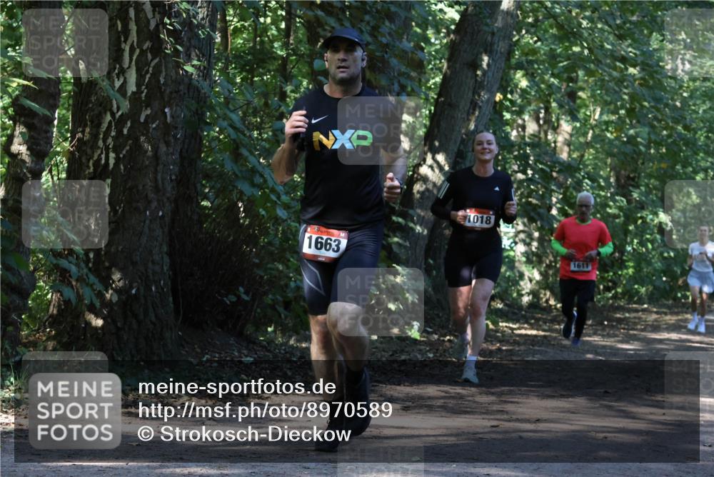 28.09.2025 - 33. Volkslauf durch das schöne Alstertal Strokosch-Dieckow http://msf.ph/oto/8970589 28.09.2025 11:55:13 Laufen 1663, 1018, 1611 meine-sportfotos.de