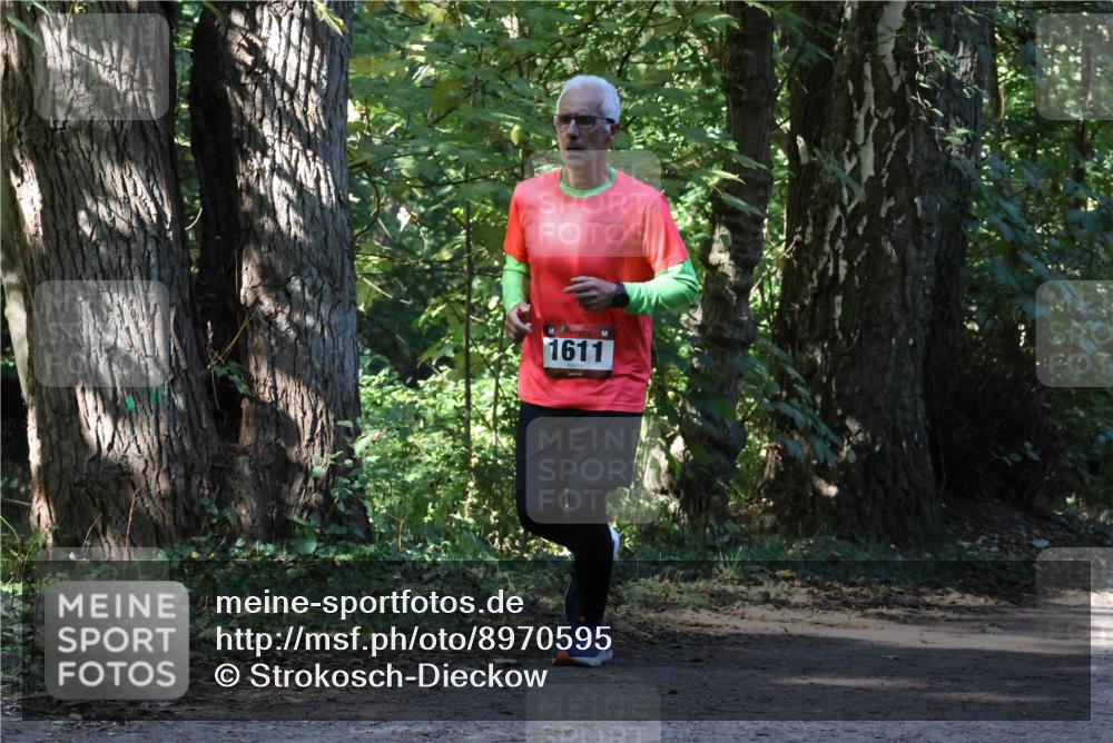 28.09.2025 - 33. Volkslauf durch das schöne Alstertal Strokosch-Dieckow http://msf.ph/oto/8970595 28.09.2025 11:55:19 Laufen 1611 meine-sportfotos.de