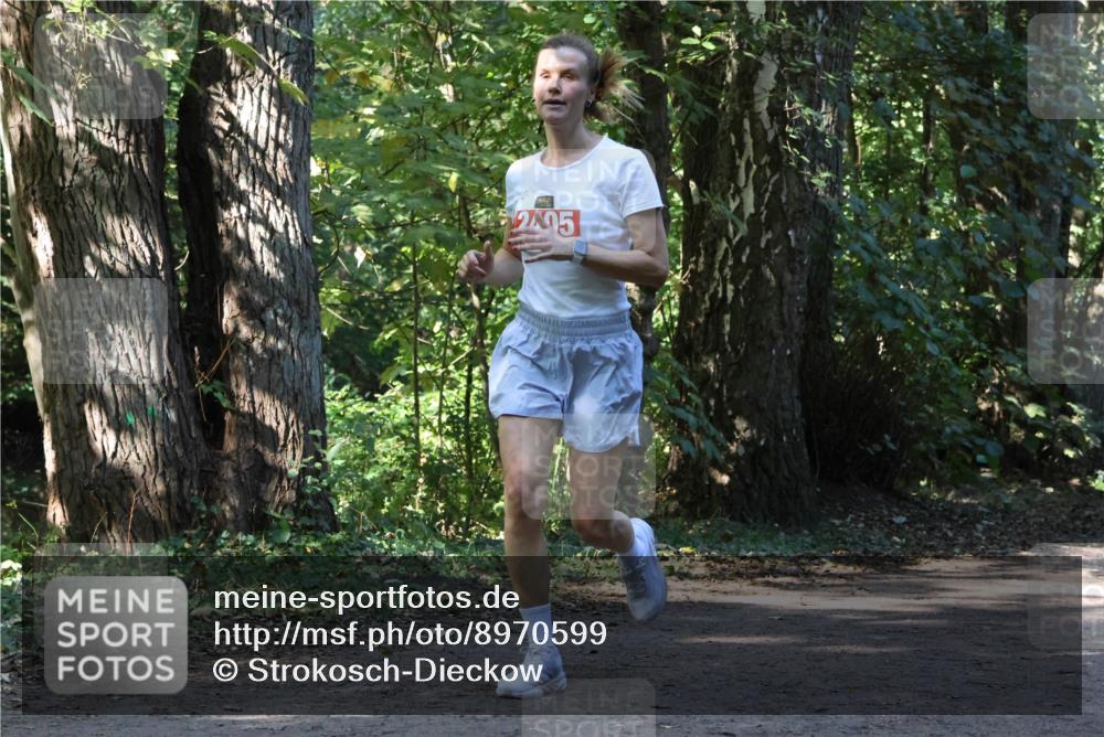 28.09.2025 - 33. Volkslauf durch das schöne Alstertal Strokosch-Dieckow http://msf.ph/oto/8970599 28.09.2025 11:55:23 Laufen 2405 meine-sportfotos.de