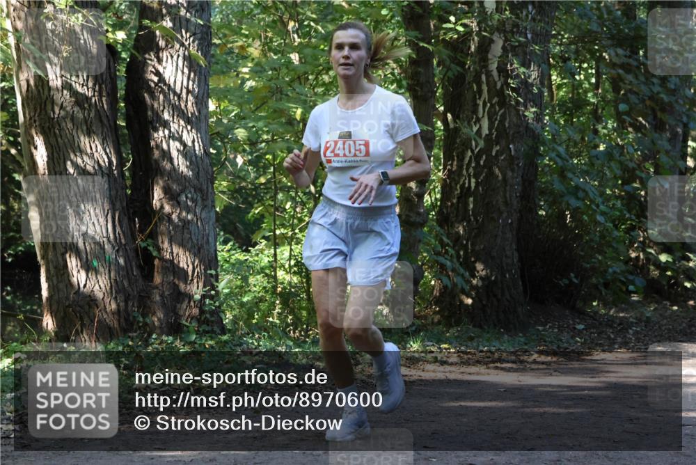 28.09.2025 - 33. Volkslauf durch das schöne Alstertal Strokosch-Dieckow http://msf.ph/oto/8970600 28.09.2025 11:55:23 Laufen 2405 meine-sportfotos.de