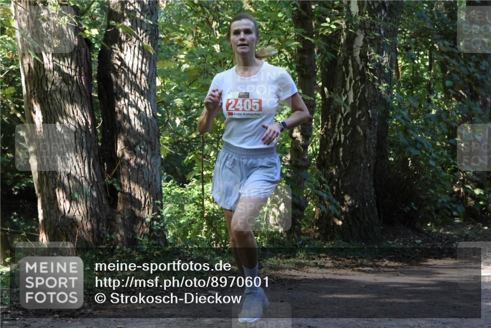 28.09.2025 - 33. Volkslauf durch das schöne Alstertal Strokosch-Dieckow http://msf.ph/oto/8970601 28.09.2025 11:55:23 Laufen 2405 meine-sportfotos.de