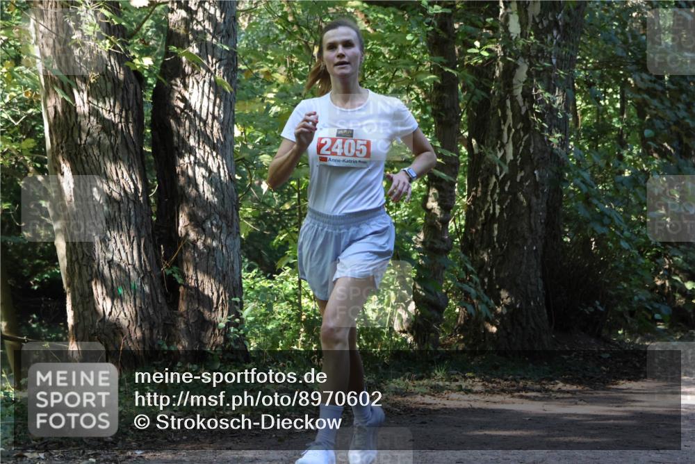 28.09.2025 - 33. Volkslauf durch das schöne Alstertal Strokosch-Dieckow http://msf.ph/oto/8970602 28.09.2025 11:55:23 Laufen 2405 meine-sportfotos.de