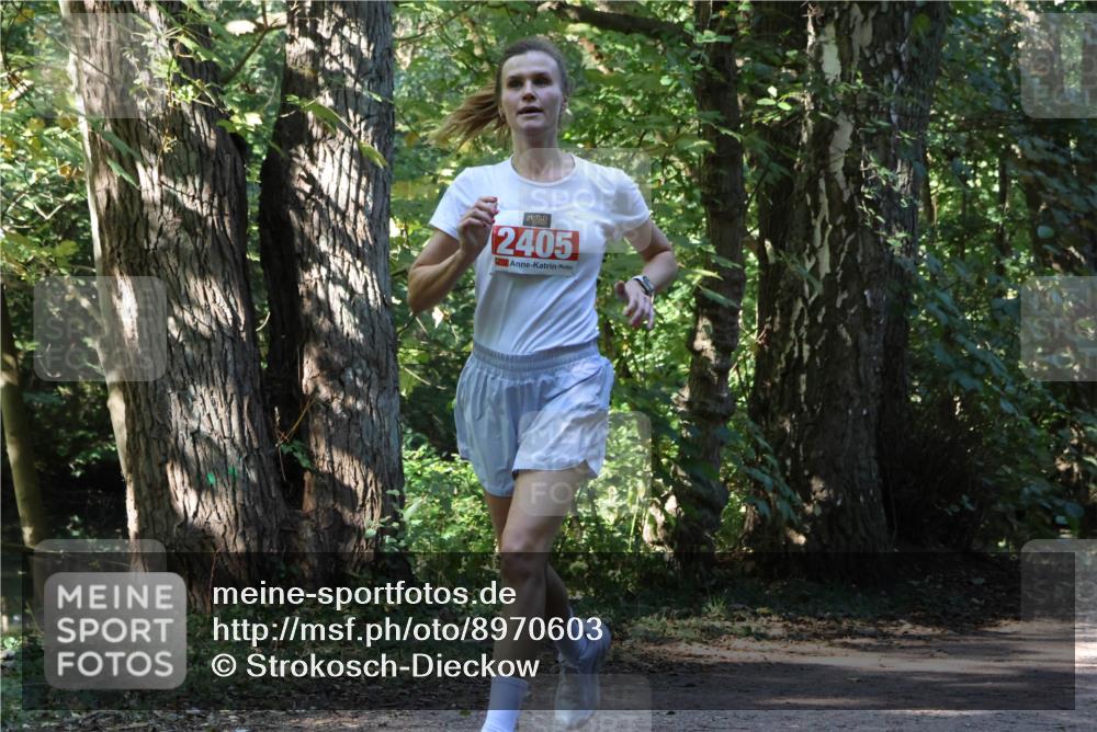 28.09.2025 - 33. Volkslauf durch das schöne Alstertal Strokosch-Dieckow http://msf.ph/oto/8970603 28.09.2025 11:55:24 Laufen 2405 meine-sportfotos.de