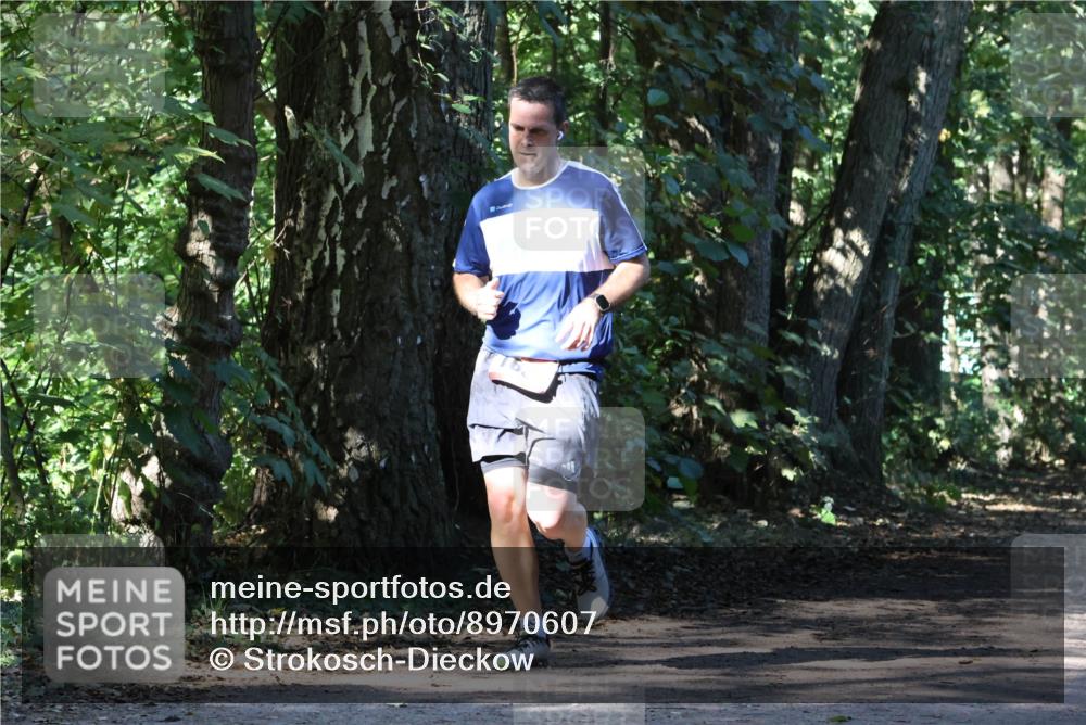 28.09.2025 - 33. Volkslauf durch das schöne Alstertal Strokosch-Dieckow http://msf.ph/oto/8970607 28.09.2025 11:55:42 Laufen  meine-sportfotos.de