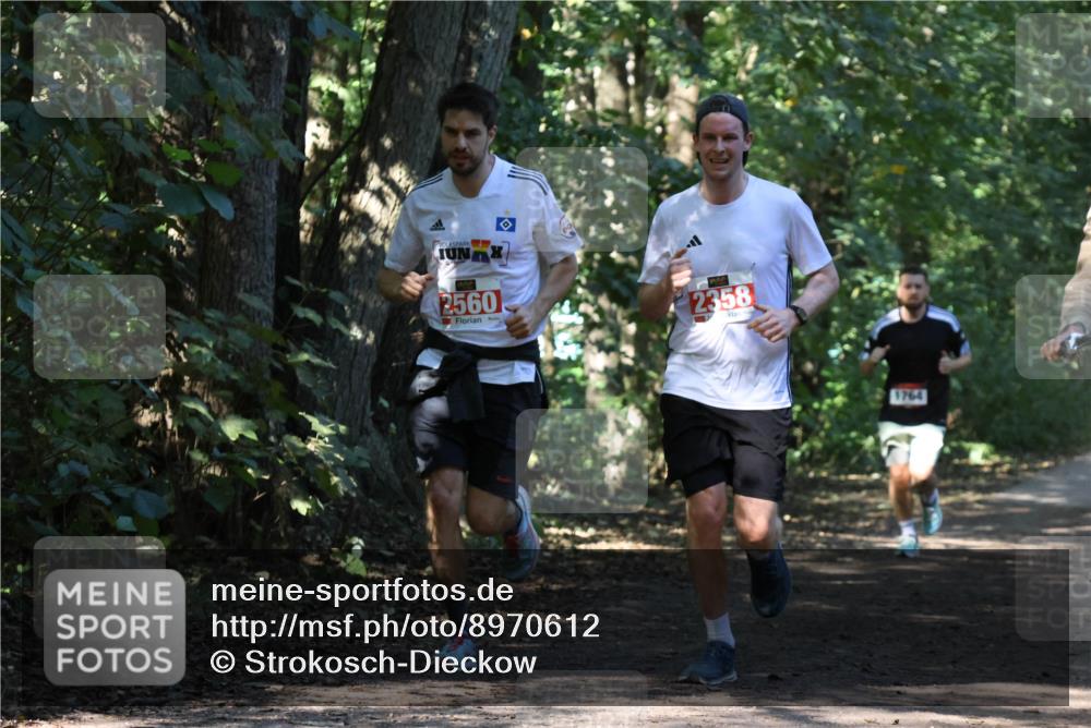 28.09.2025 - 33. Volkslauf durch das schöne Alstertal Strokosch-Dieckow http://msf.ph/oto/8970612 28.09.2025 11:55:50 Laufen 2560, 2358, 1764 meine-sportfotos.de