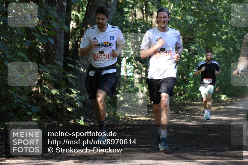 28.09.2025 - 33. Volkslauf durch das schöne Alstertal Strokosch-Dieckow http://msf.ph/oto/8970614 28.09.2025 11:55:50 Laufen 2560, 2358, 1764 meine-sportfotos.de