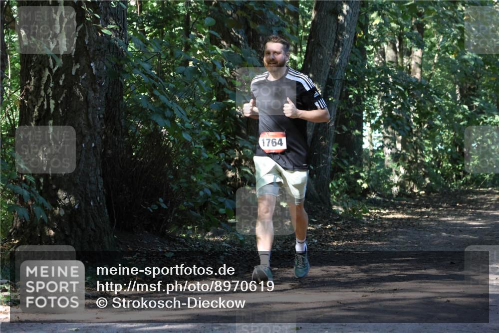 28.09.2025 - 33. Volkslauf durch das schöne Alstertal Strokosch-Dieckow http://msf.ph/oto/8970619 28.09.2025 11:55:56 Laufen 1764 meine-sportfotos.de