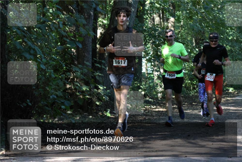 28.09.2025 - 33. Volkslauf durch das schöne Alstertal Strokosch-Dieckow http://msf.ph/oto/8970626 28.09.2025 11:56:14 Laufen 1617, 1659, 2591 meine-sportfotos.de