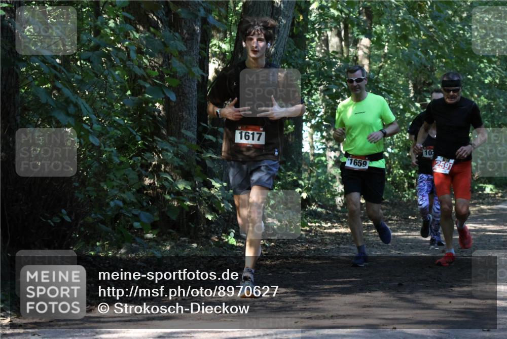 28.09.2025 - 33. Volkslauf durch das schöne Alstertal Strokosch-Dieckow http://msf.ph/oto/8970627 28.09.2025 11:56:14 Laufen 1617, 1659, 10, 2591 meine-sportfotos.de