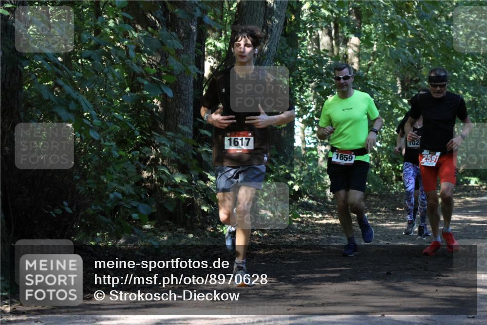 28.09.2025 - 33. Volkslauf durch das schöne Alstertal Strokosch-Dieckow http://msf.ph/oto/8970628 28.09.2025 11:56:14 Laufen 1617, 1659, 2, 2591 meine-sportfotos.de