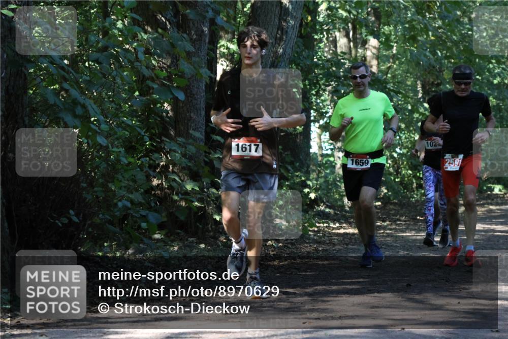 28.09.2025 - 33. Volkslauf durch das schöne Alstertal Strokosch-Dieckow http://msf.ph/oto/8970629 28.09.2025 11:56:14 Laufen 1617, 1659, 102, 2591 meine-sportfotos.de