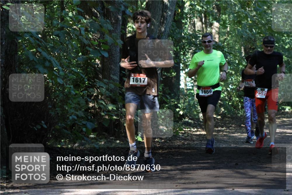 28.09.2025 - 33. Volkslauf durch das schöne Alstertal Strokosch-Dieckow http://msf.ph/oto/8970630 28.09.2025 11:56:14 Laufen 1617, 1659, 2591 meine-sportfotos.de