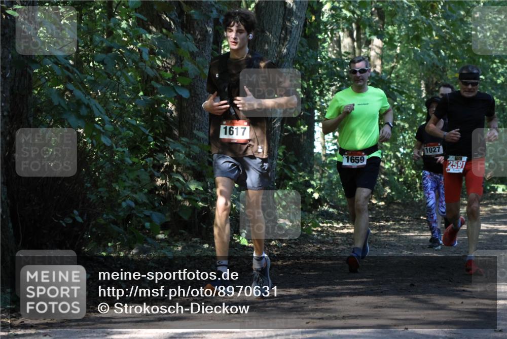 28.09.2025 - 33. Volkslauf durch das schöne Alstertal Strokosch-Dieckow http://msf.ph/oto/8970631 28.09.2025 11:56:14 Laufen 1617, 1659, 1027, 2591 meine-sportfotos.de