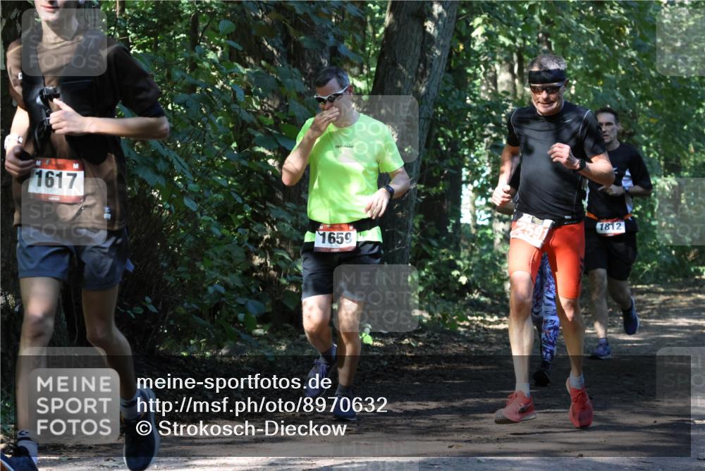28.09.2025 - 33. Volkslauf durch das schöne Alstertal Strokosch-Dieckow http://msf.ph/oto/8970632 28.09.2025 11:56:16 Laufen 1617, 1659, 1812 meine-sportfotos.de