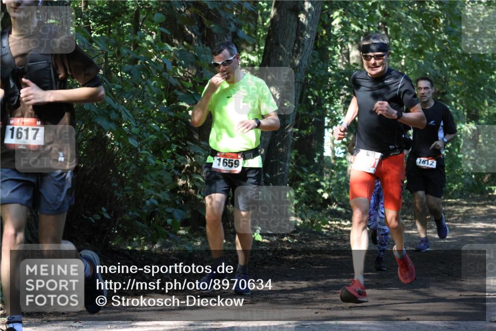 28.09.2025 - 33. Volkslauf durch das schöne Alstertal Strokosch-Dieckow http://msf.ph/oto/8970634 28.09.2025 11:56:16 Laufen 1617, 1659, 1812 meine-sportfotos.de