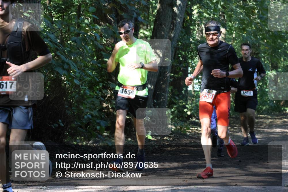 28.09.2025 - 33. Volkslauf durch das schöne Alstertal Strokosch-Dieckow http://msf.ph/oto/8970635 28.09.2025 11:56:16 Laufen 617, 1650, 1812, 2591 meine-sportfotos.de